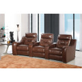 Wohnzimmer Sofa mit modernem echtem Leder Sofa Set (442)